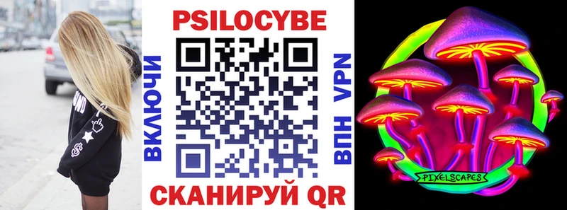 Галлюциногенные грибы Psilocybe Волжский